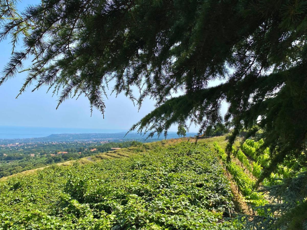 Tenuta Kiwi Dell'Etna Milo Esterno foto